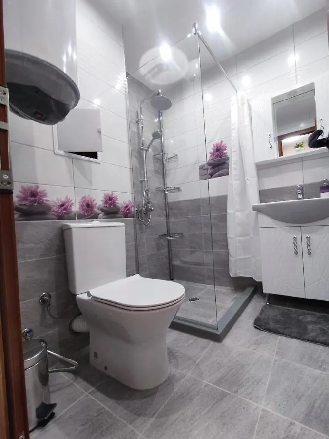 Mountain View Apartment 索菲亞