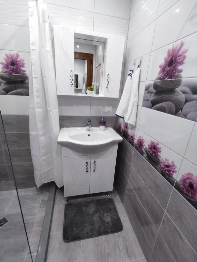 Mountain View Apartment 索菲亞